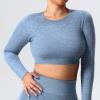 imageYEOREO Seamless Long Sleeve Crop Gym Shirts for Women Workout Yoga Tops Women ShirtFrench Blue