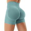 imageYEOREO Gym Workout Shorts for Women 36  45 High Waisted Hidden Scrunch Biker Shorts Tummy Control Patrica Yoga ShortsPistachio